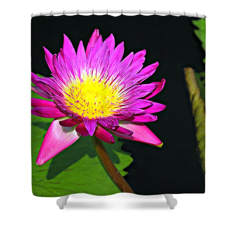 Flower Shower Curtain featuring the photograph Water Flower 10089 by Marty Koch