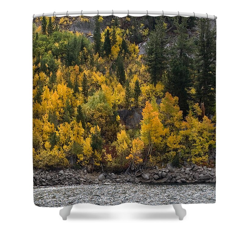 Yellow Shower Curtain featuring the photograph Water Granite and Trees by Cat Connor