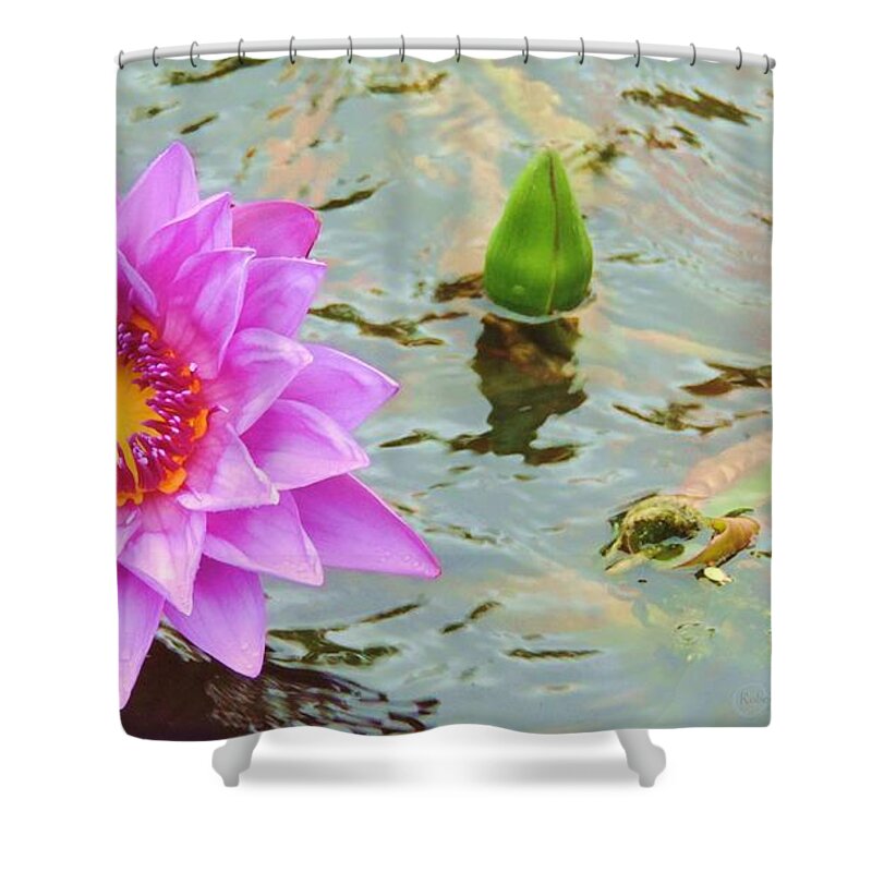 Water Lily Shower Curtain featuring the photograph Water Lilies 001 by Robert ONeil