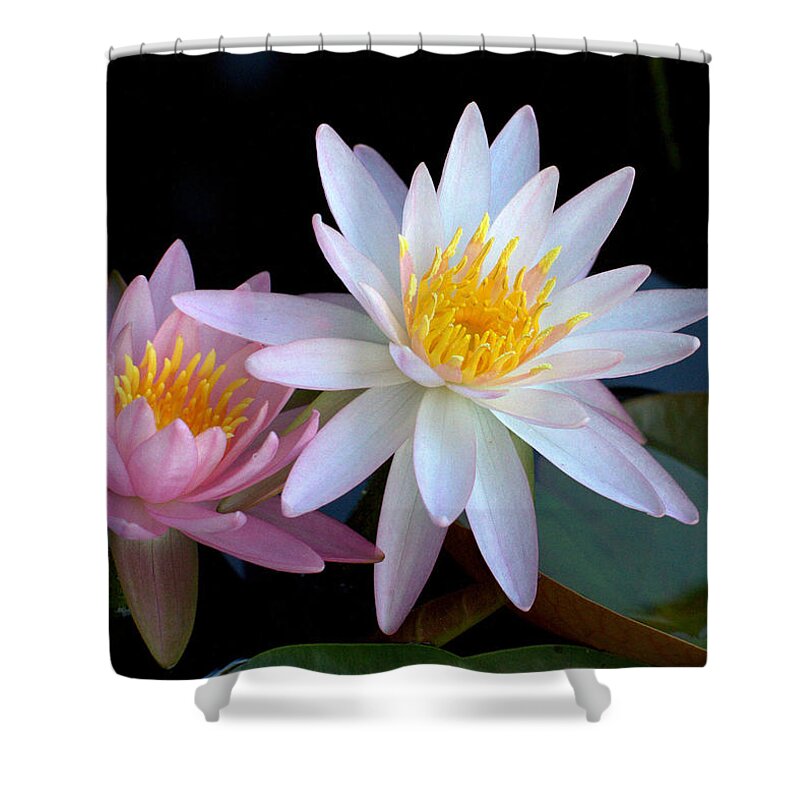Flower Shower Curtain featuring the photograph Water Lilies by Farol Tomson