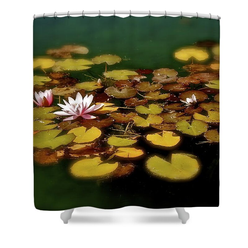 Lily Shower Curtain featuring the photograph Water Lilies by Linda Bianic