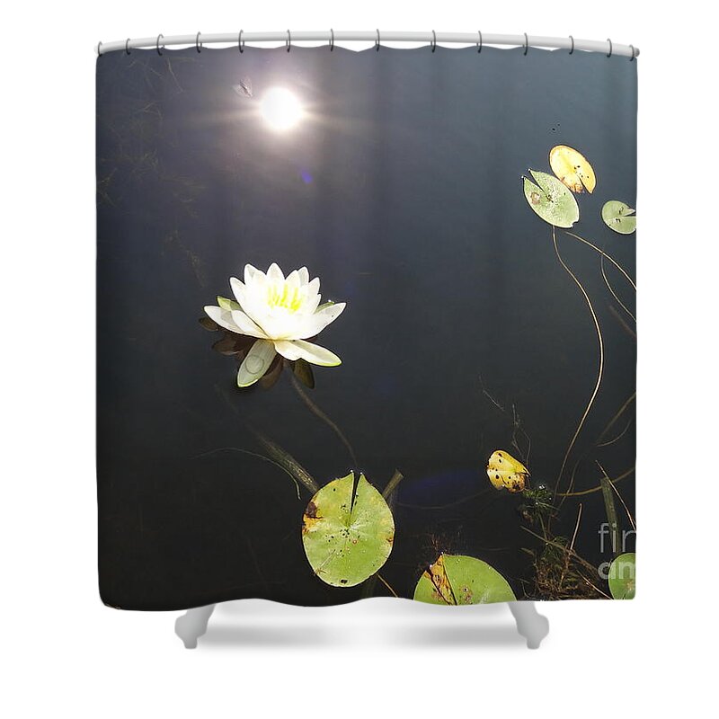 Water Lily Shower Curtain featuring the photograph Water Lily by Laurel Best