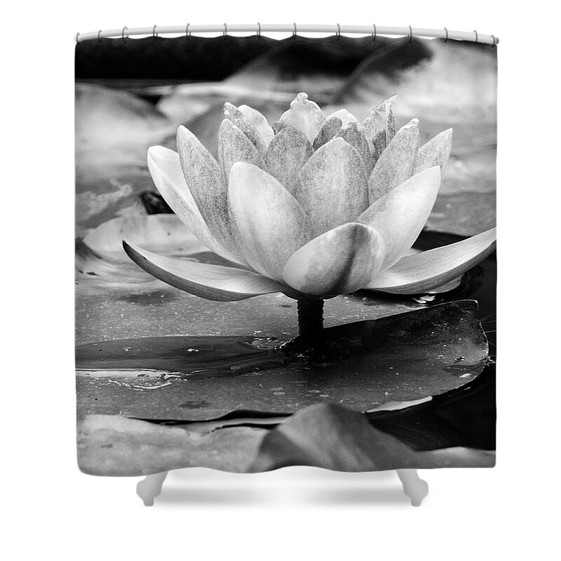 Water Lily Shower Curtain featuring the photograph Water Lily by Michelle Joseph-Long