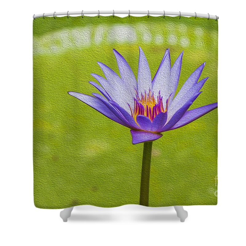 Flower Shower Curtain featuring the photograph Water lily by Patricia Hofmeester