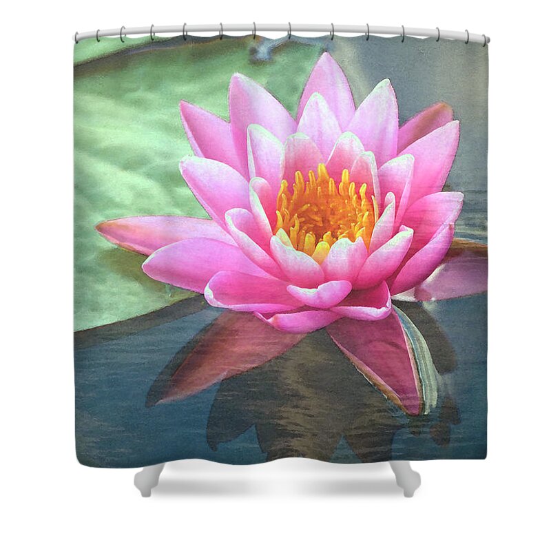 Water Lily Shower Curtain featuring the photograph Water Lily by Sandi OReilly