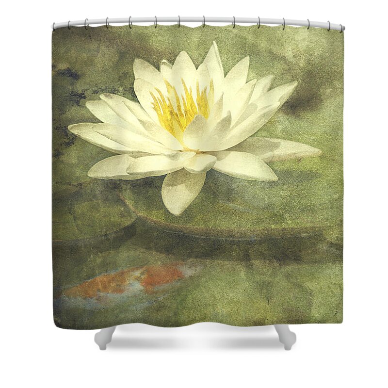 Water Lily Shower Curtain featuring the photograph Water Lily by Scott Norris
