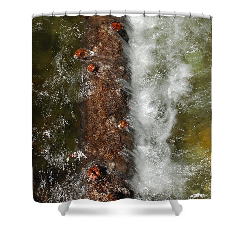 Water Shower Curtain featuring the photograph Water Logged by Donna Blackhall