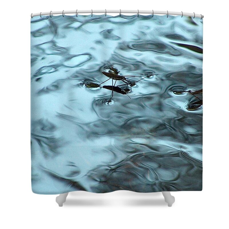 Water Spiders Shower Curtain featuring the photograph Water Spiders by Wayne Enslow