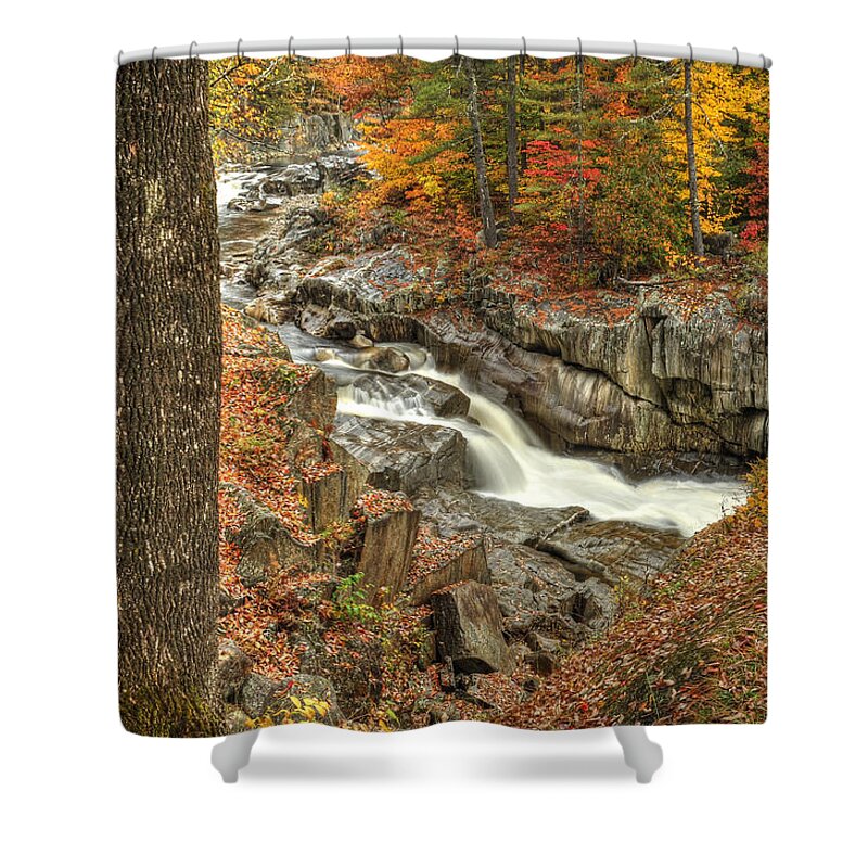 Photograph Shower Curtain featuring the photograph Watercolor by Richard Gehlbach