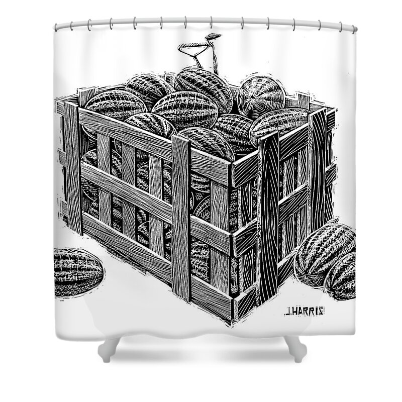 Scratchboard Shower Curtain featuring the drawing Watermelon Crate by Jim Harris