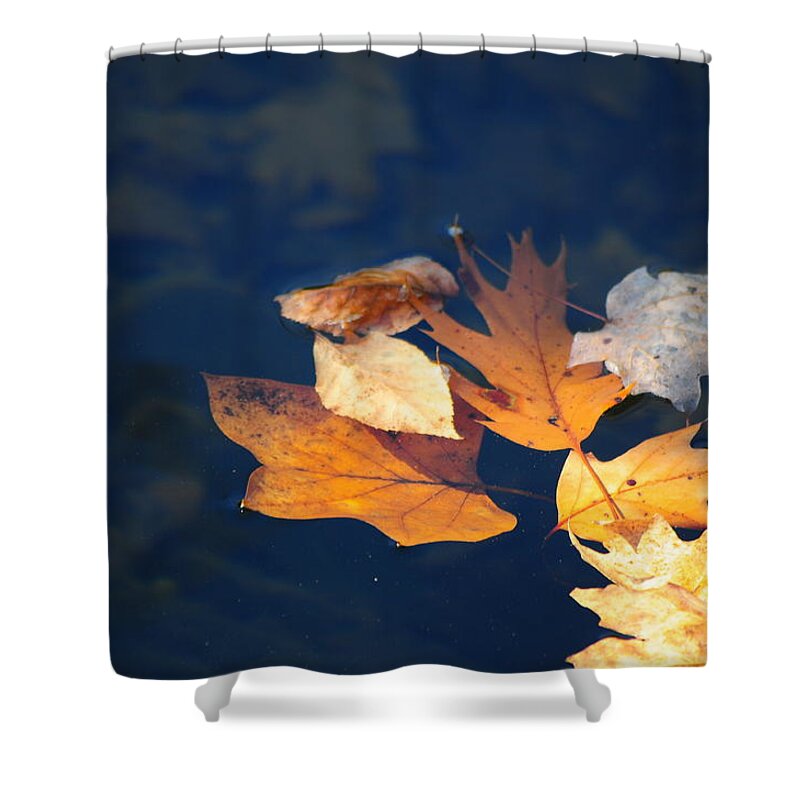 Landscape Still Life Shower Curtain featuring the photograph Watery Grave by Jack Harries