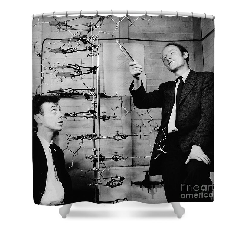 Watson Shower Curtain featuring the photograph Watson and Crick with DNA Model by A Barrington Brown