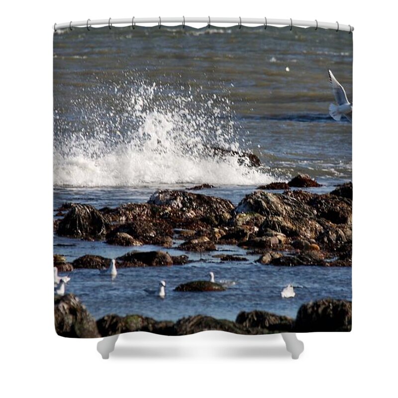 Waves Shower Curtain featuring the photograph Waves Wind and Whitecaps by John Telfer
