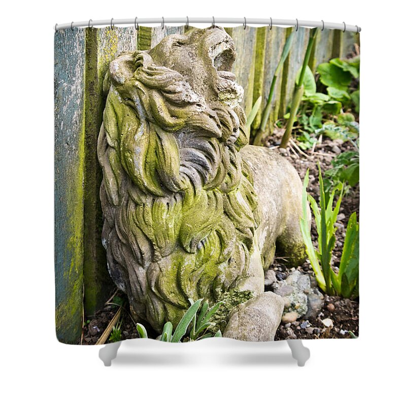 Lion Shower Curtain featuring the photograph Weathered Lion by Priya Ghose