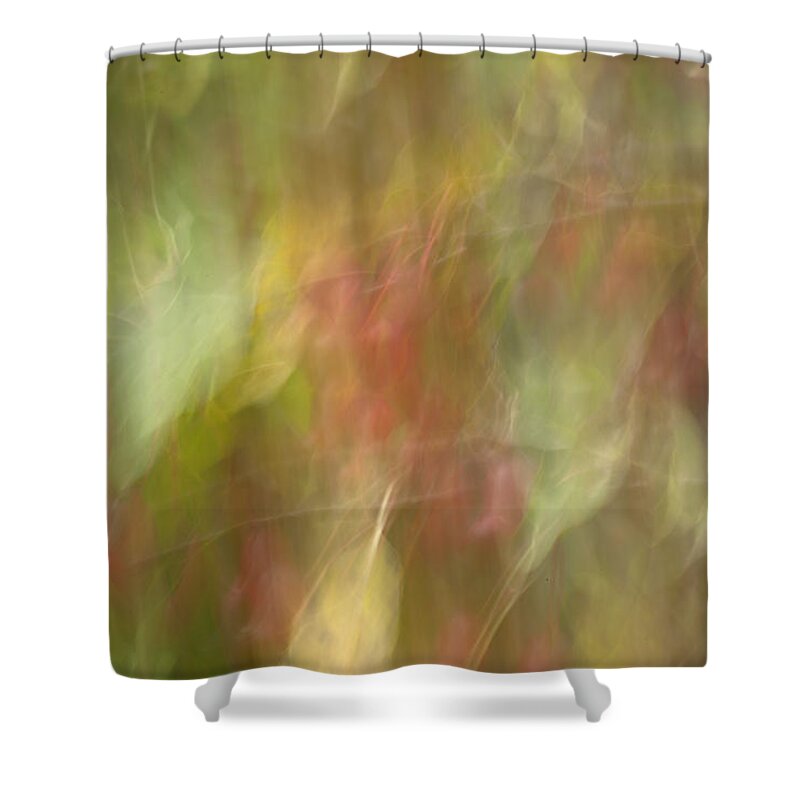 Abstract Shower Curtain featuring the photograph Weeping Crabapple by Eunice Gibb