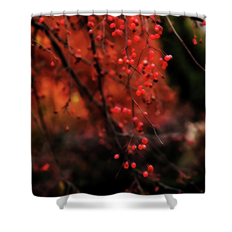 Tree Shower Curtain featuring the photograph Weeping by Linda Shafer