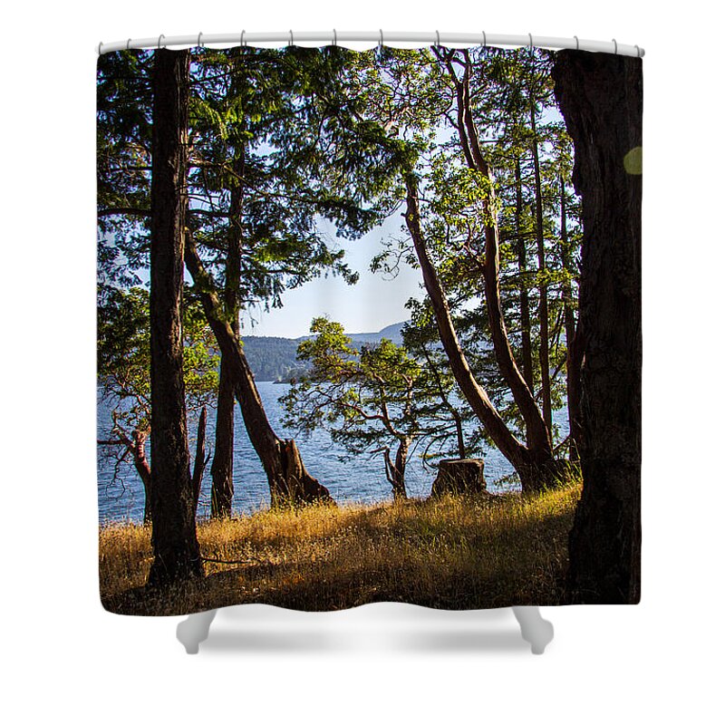 Nature Shower Curtain featuring the photograph Welbury by Kathy Bassett