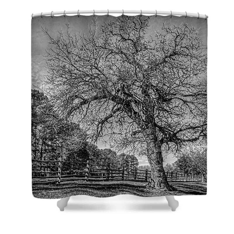 Tree Shower Curtain featuring the photograph Welcome to Williamsburg Tree by Jerry Gammon
