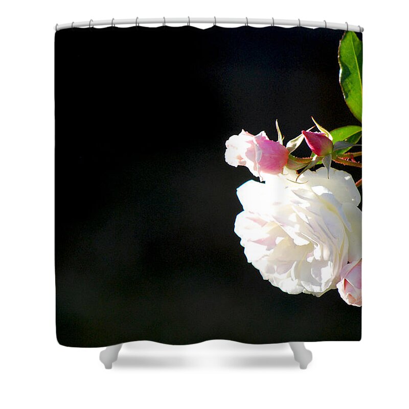 Becky Furgason Shower Curtain featuring the photograph #wenotme by Becky Furgason