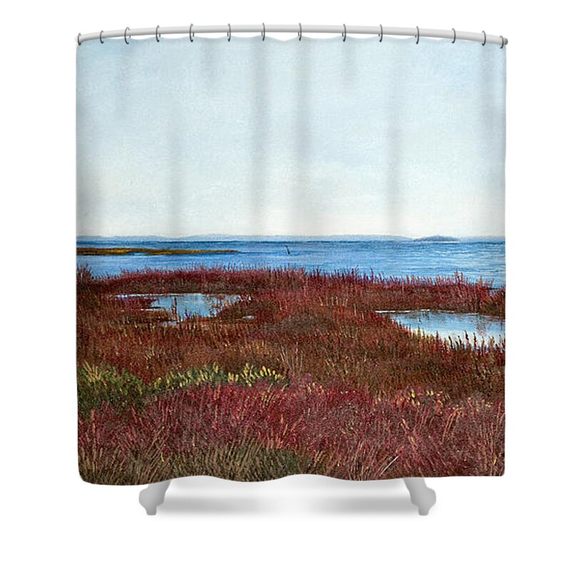 West Florida. Coast Panhandle Shower Curtain featuring the painting West Florida Panhandle Looking Towards the Gulf by Paul Gaj