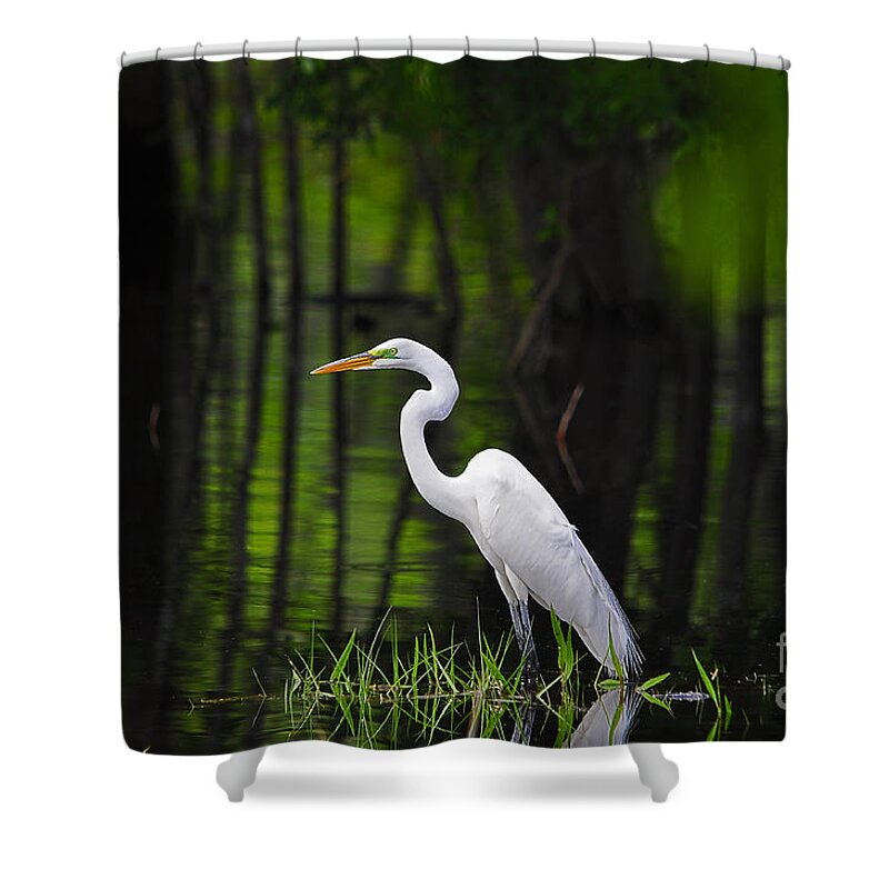 Great Egret Shower Curtain featuring the photograph Wetland Wader by Al Powell Photography USA