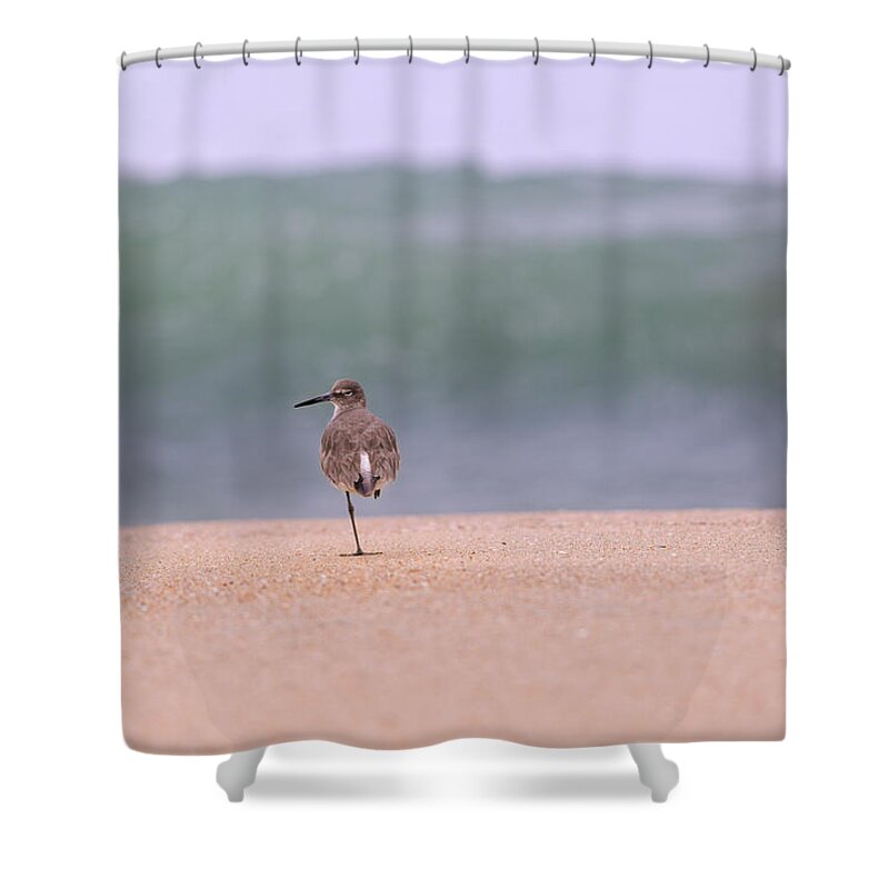 Piper Shower Curtain featuring the photograph What Wave By Denise Dube by Denise Dube