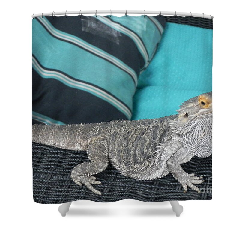 Photography Shower Curtain featuring the photograph Whatcha Lookin At by Chrisann Ellis