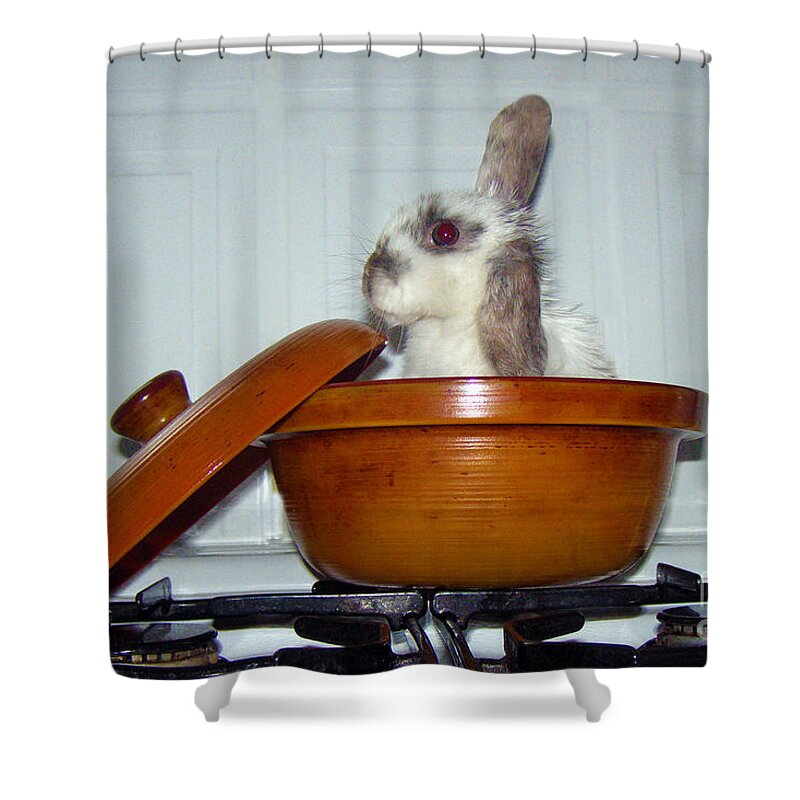Baby Bunny Shower Curtain featuring the photograph What's For Dinner by Terri Waters