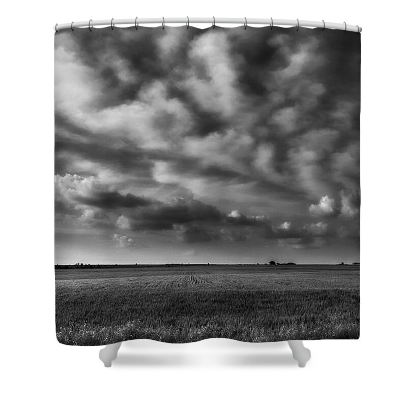 Wheat Shower Curtain featuring the photograph Wheat Black and White by Eric Benjamin