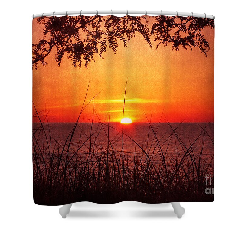 Lake Michigan Shower Curtain featuring the photograph When Evening Falls by Kathi Mirto
