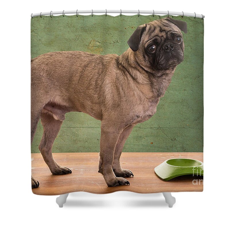 Bowl Shower Curtain featuring the photograph When is Dinner? by Edward Fielding