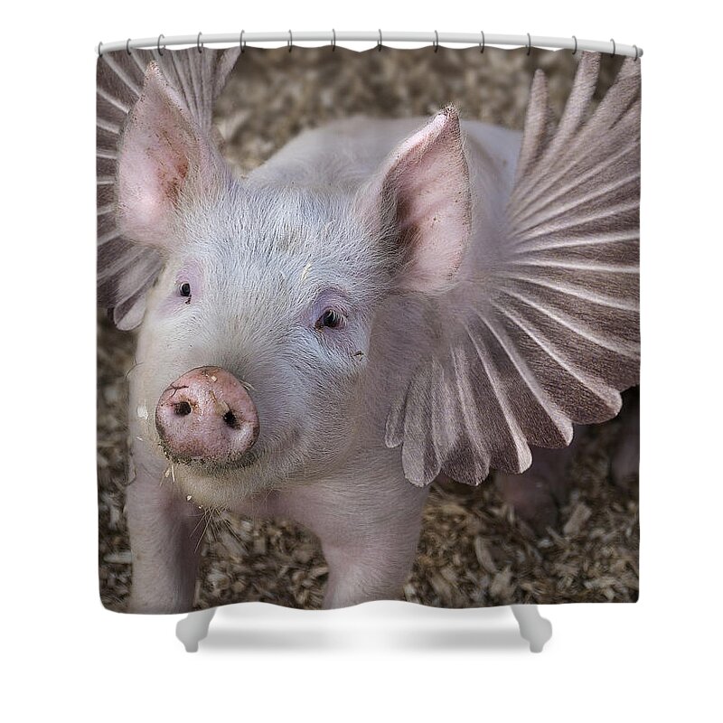 Pig Shower Curtain featuring the digital art When Pigs Fly by Rick Mosher