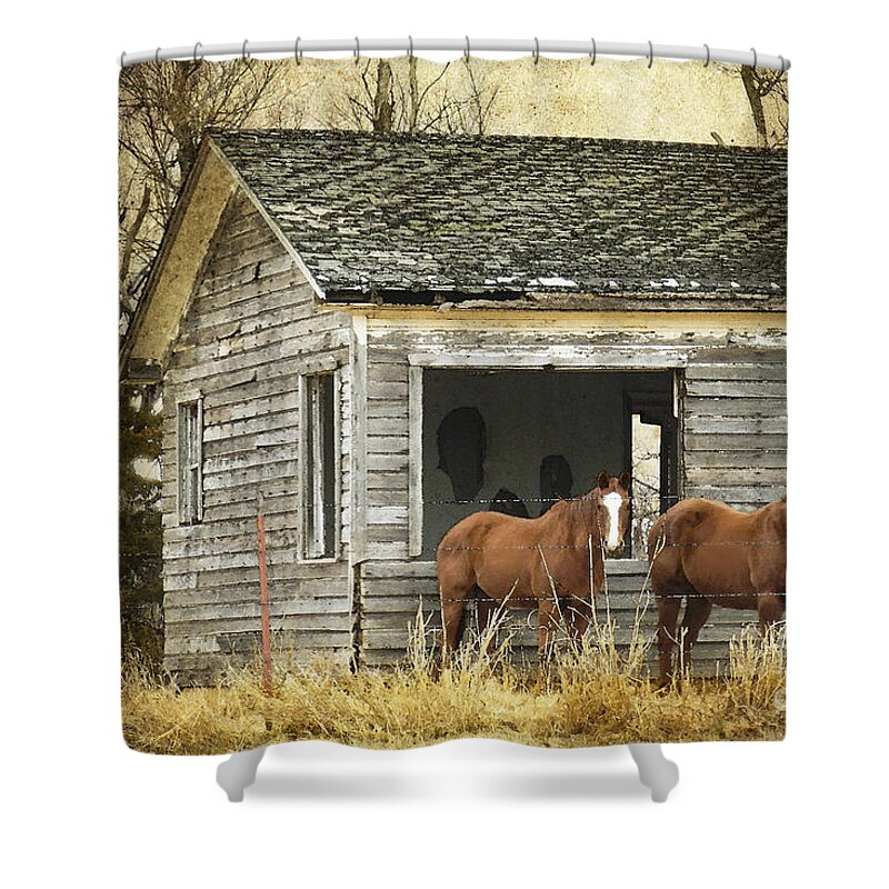Old House Shower Curtain featuring the photograph Where Are the People by Betty LaRue