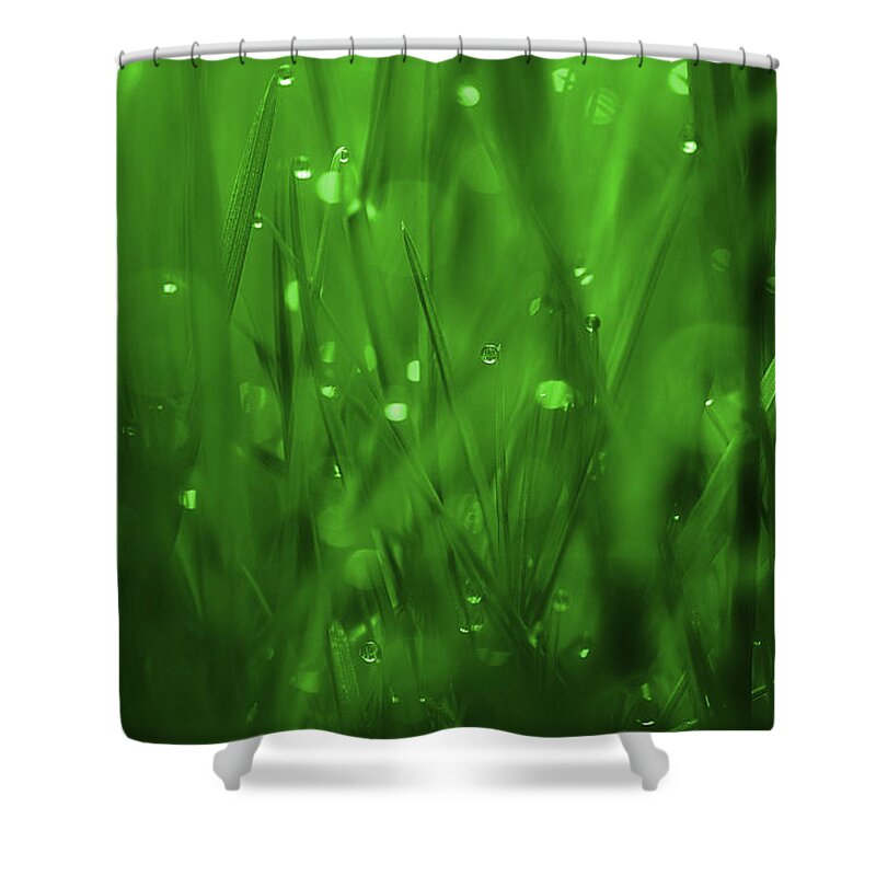 Grass Shower Curtain featuring the photograph Where Dreams Begin by Michael Eingle