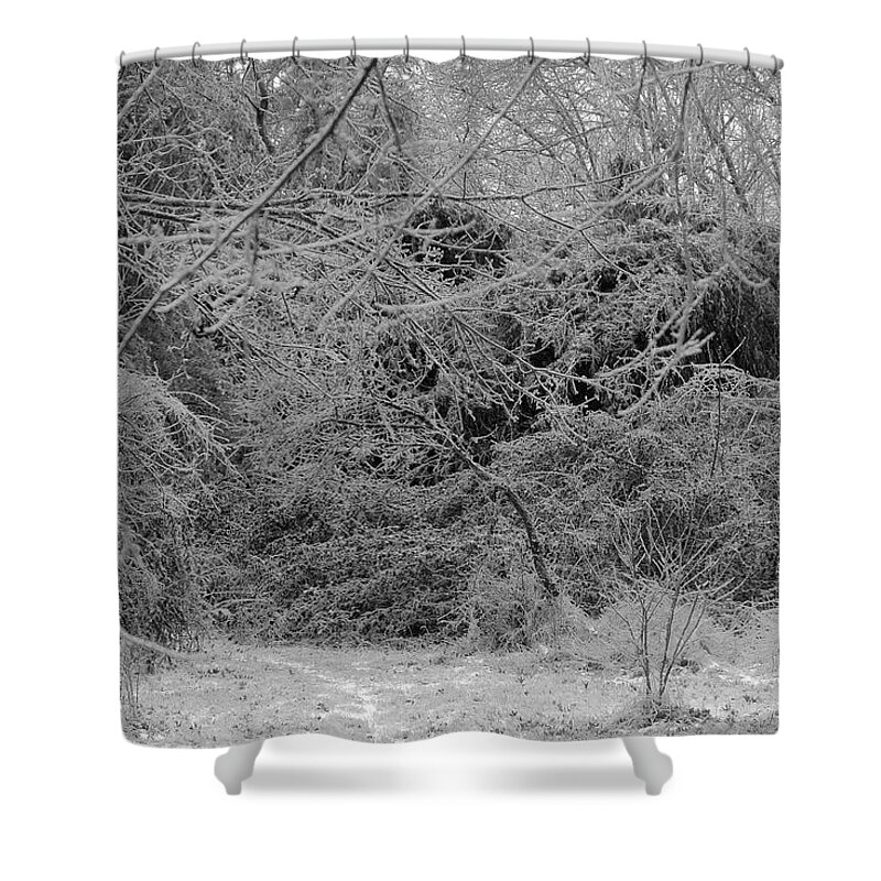 Ice Shower Curtain featuring the photograph Where Is The Trail by Daniel Reed