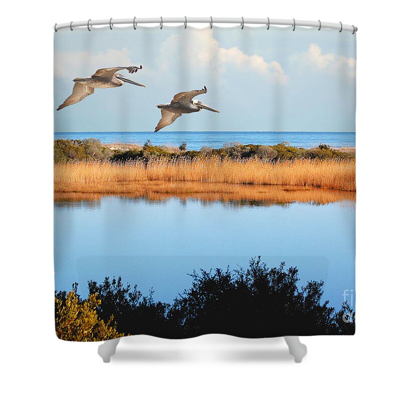 Pelicans Shower Curtain featuring the photograph Where The Marsh Meets The Atlantic by Kathy Baccari