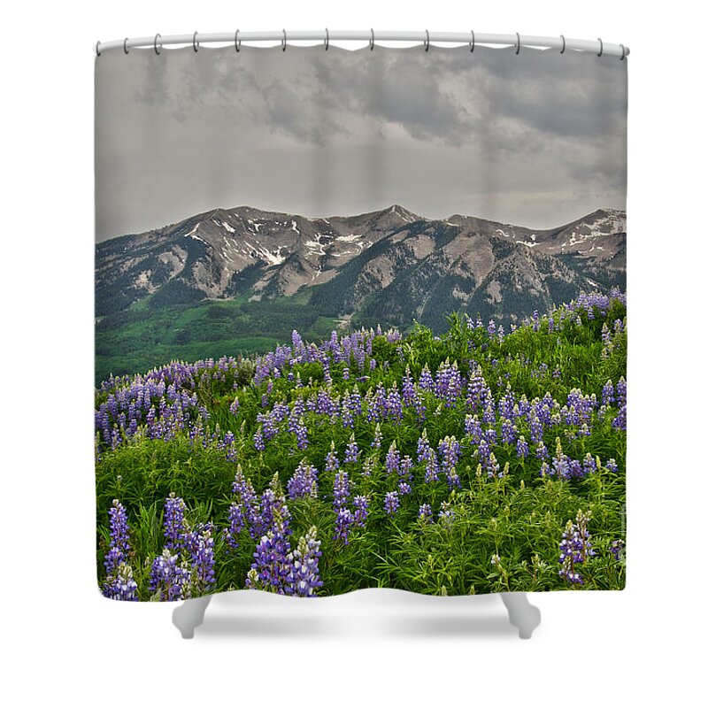 Crested Butte Shower Curtain featuring the photograph Whetstone Sunset by Kelly Black