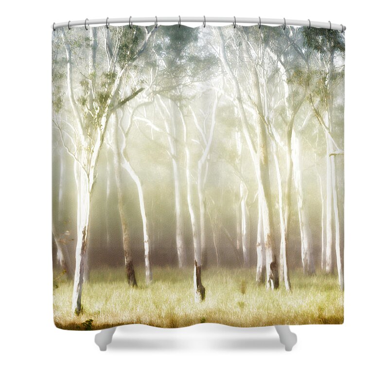 Landscapes Shower Curtain featuring the photograph Whisper the Trees by Holly Kempe