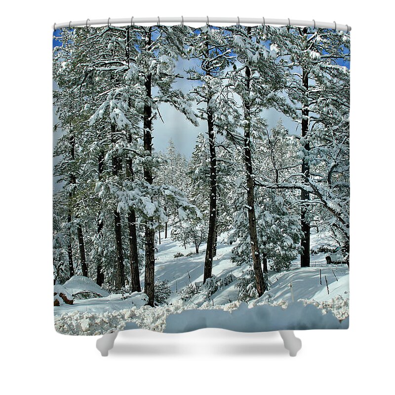 Landscape Shower Curtain featuring the photograph Whispering Snow by Matalyn Gardner