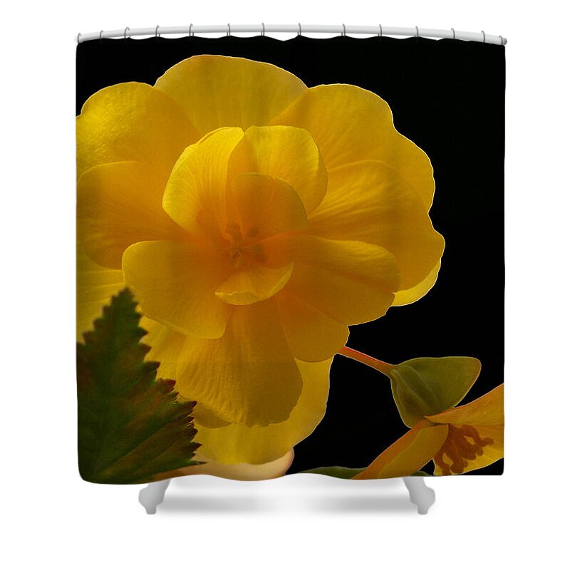 Flowers Shower Curtain featuring the photograph Whispering Softly by Tom Druin