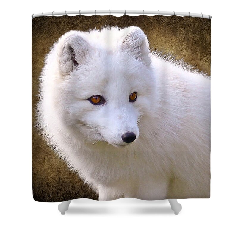 Arctic Fox Shower Curtain featuring the photograph White Arctic Fox by Steve McKinzie