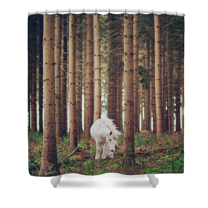 Horse Shower Curtain featuring the photograph White Horse In The Wood by Julia Davila-lampe