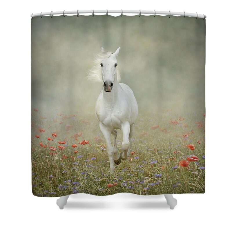 Horse Shower Curtain featuring the photograph White Horse Running Through Poppies by Christiana Stawski