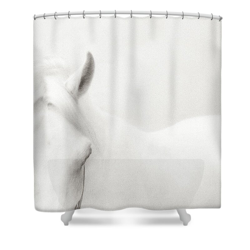 Horse Shower Curtain featuring the photograph White Horse by Stevecoleimages