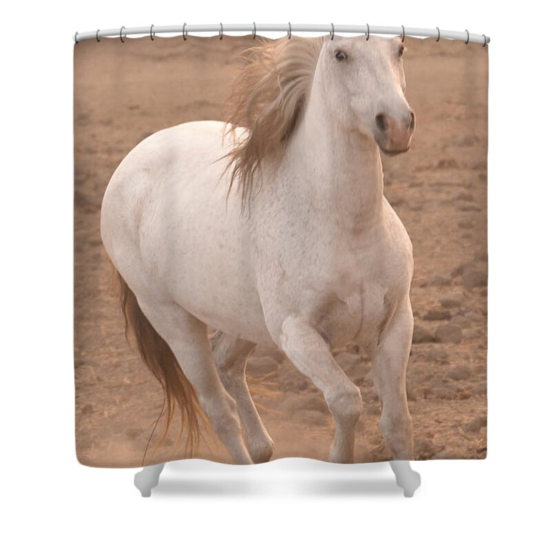 Rtf Ranch Shower Curtain featuring the photograph White Mare Approaches Number One Close Up Muted by Heather Kirk