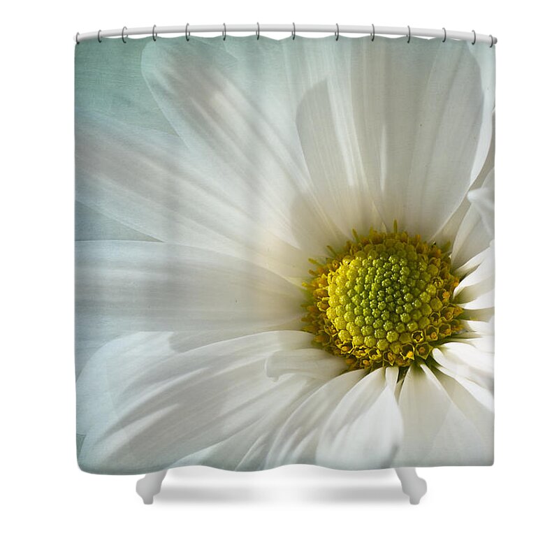 White Daisy Flower Shower Curtain featuring the photograph White Melody by Marina Kojukhova