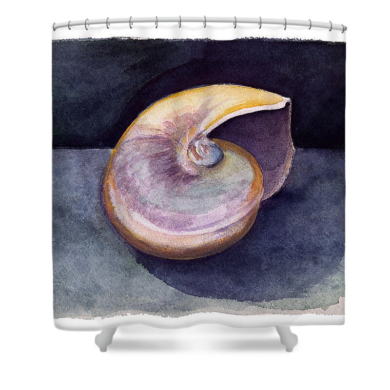 Nautilus Shells Shower Curtain featuring the painting White Nautilus by Katherine Miller