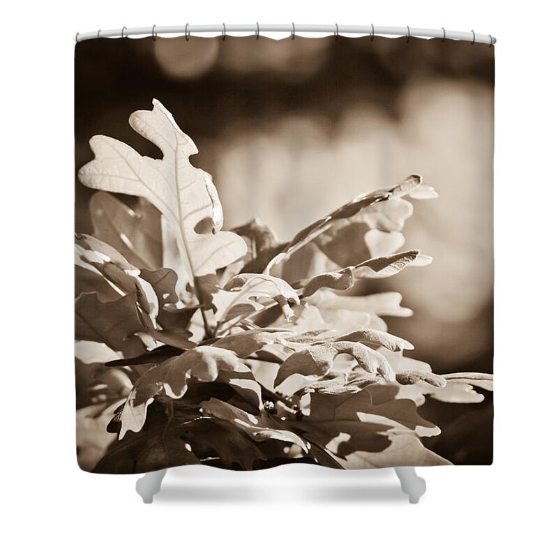 Quercus Alba Shower Curtain featuring the photograph White Oak Leaves by Melinda Fawver