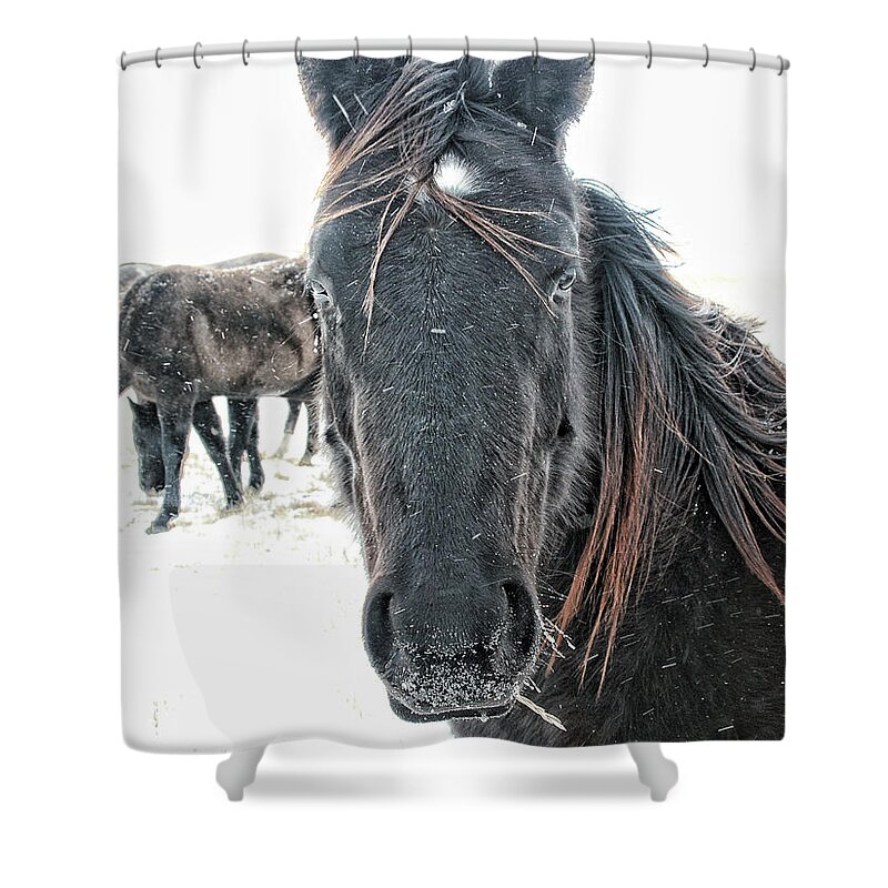 Blizzard Shower Curtain featuring the photograph White Out by Alan Hutchins