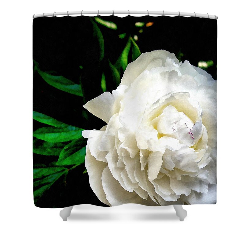 Single Shower Curtain featuring the photograph White Peony by Michelle Calkins